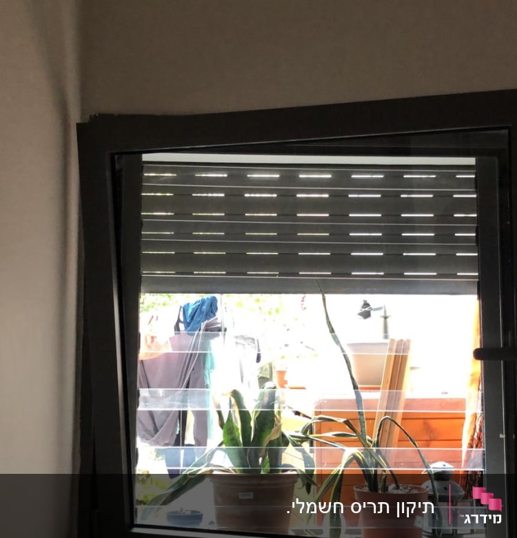 תריסים חצי סגורים על חלון עם עציצים